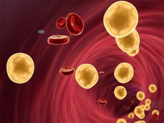 Lower blood fat
