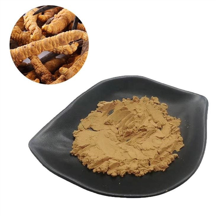 Polisacàrid de Cordyceps