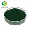 Chlorophyll