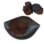 Pols d'extracte orgànic de bolets Chaga