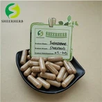 Turkesterone en pols
