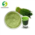 Herba de blat en pols